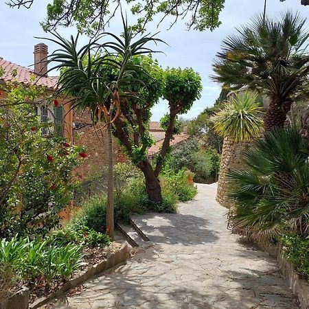 Bright 29M With Nice View In Bormes-Les-Mimosas Apartment Exterior foto